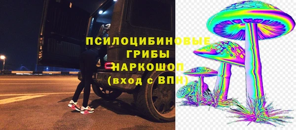 a pvp Дмитров