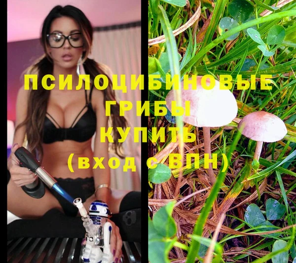 мдма Дмитриев