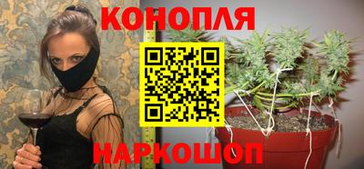 скорость Заводоуковск