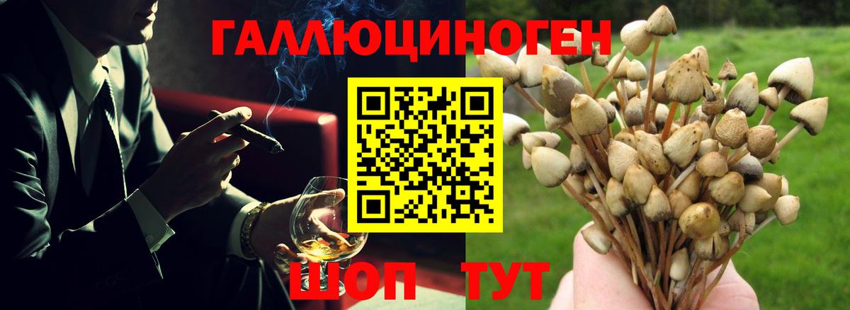Галлюциногенные грибы ЛСД  Галлюциногенные грибы мухоморы  Вход с VPN  Ейск 